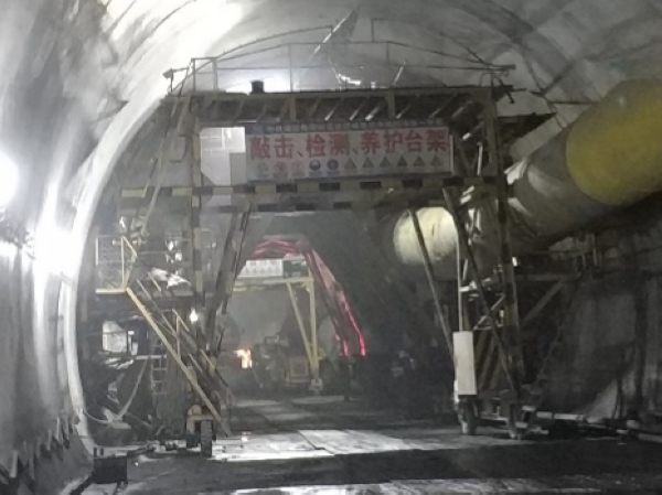 1561132645991031335.jpg 图片6.jpg