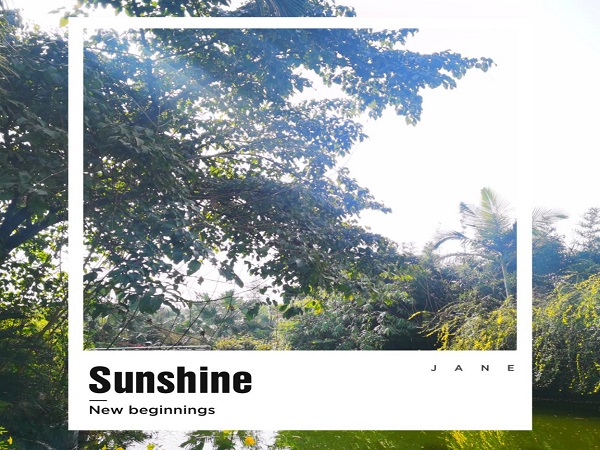 1582629510971066168.jpg 5.jpg