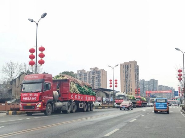 1582629502748095557.jpg 1.jpg