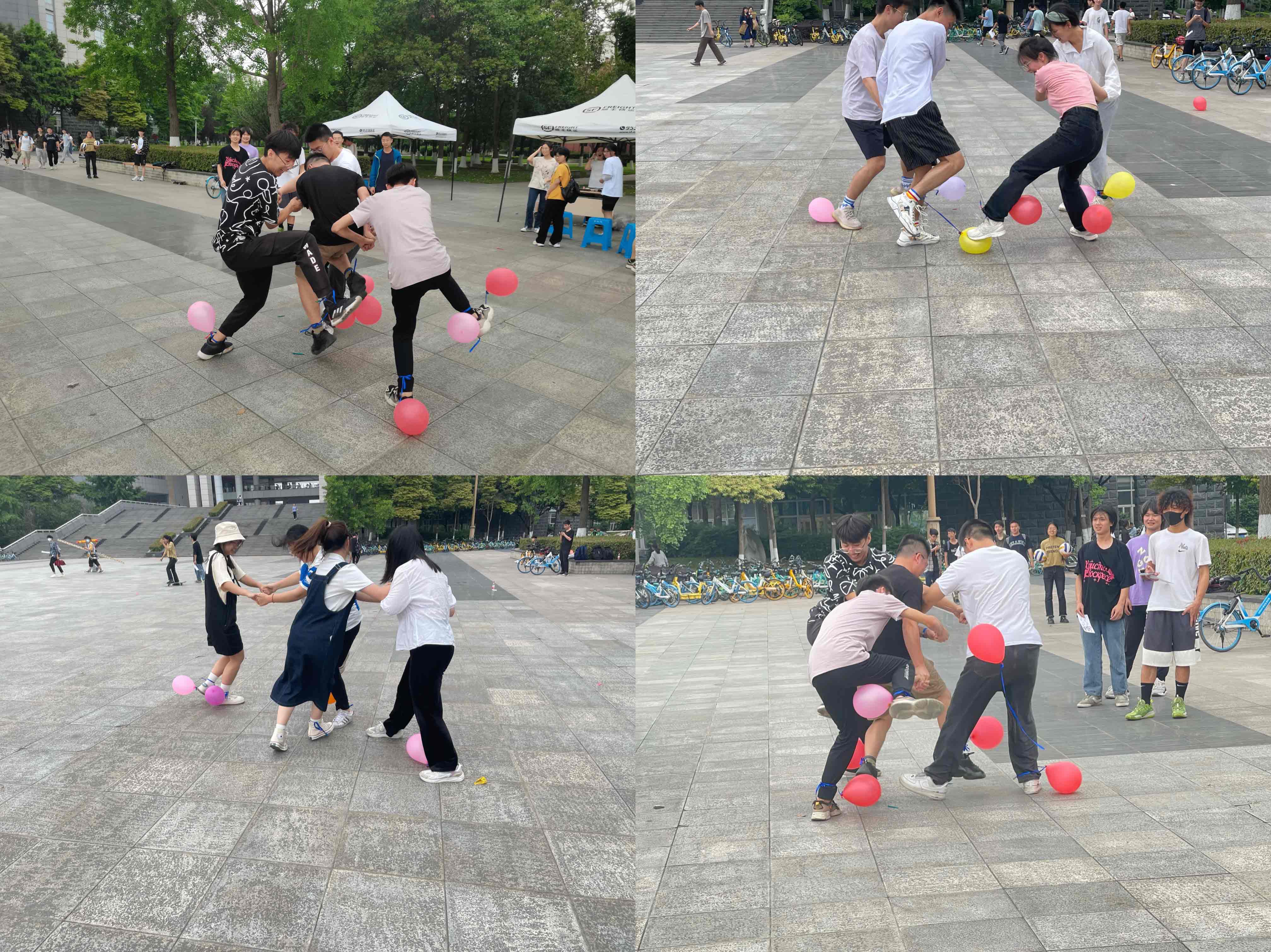 1652097032518096278.jpg 1652097032518096278.jpg