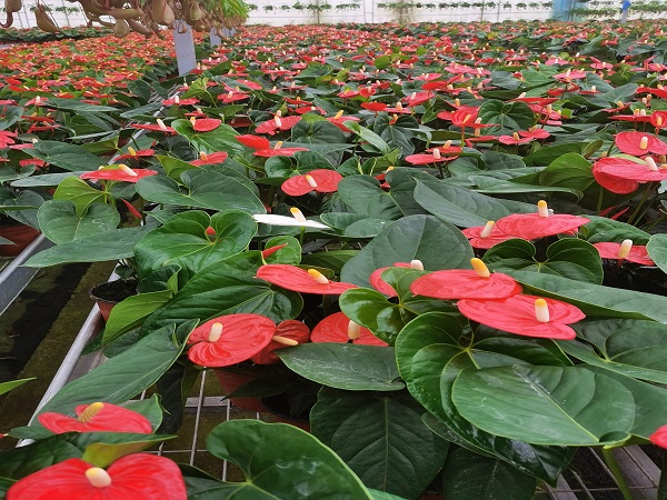 1630473412116079416.jpg 2.jpg