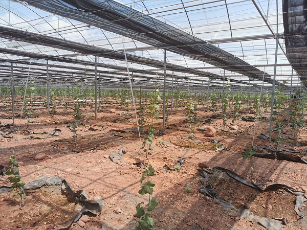 1630473402308025727.jpg 1.jpg