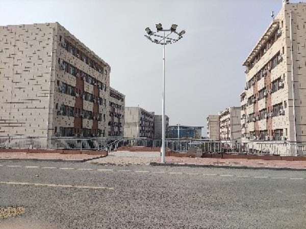 1614209938890092452.jpg 01.jpg